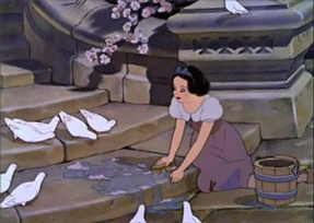 635714955165808210-1793016489_Cleaning.gif