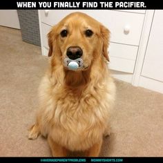 42977db7447a3e674a8ff24959449308