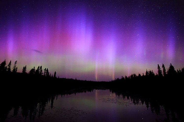 Northern-Lights_Summer-Cook-County-MN-Outdoor-Aurora-Borealis-TN-CCVB_CC-1